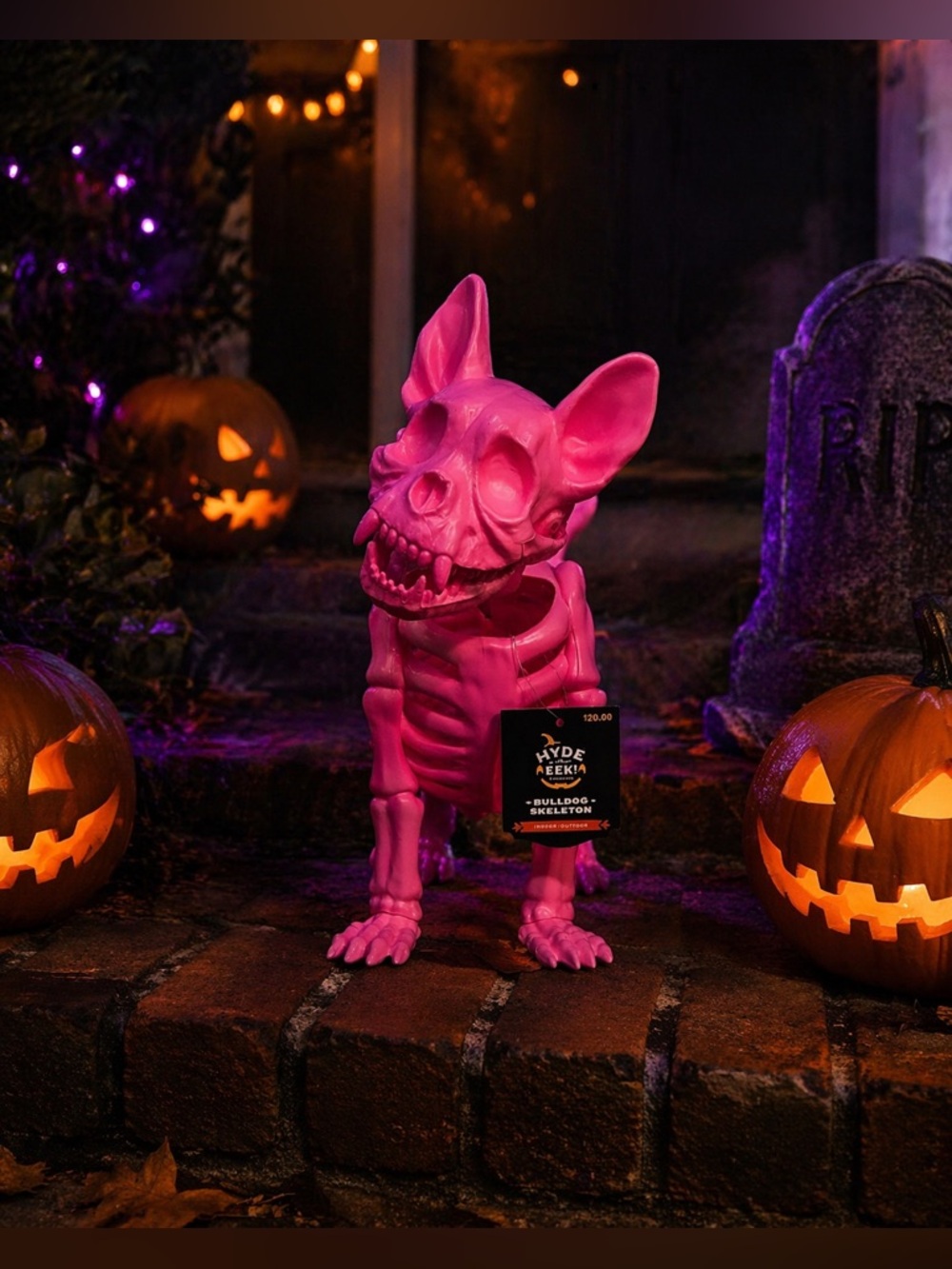 💀 HALLOWEEN FRENCHIE 🐾
